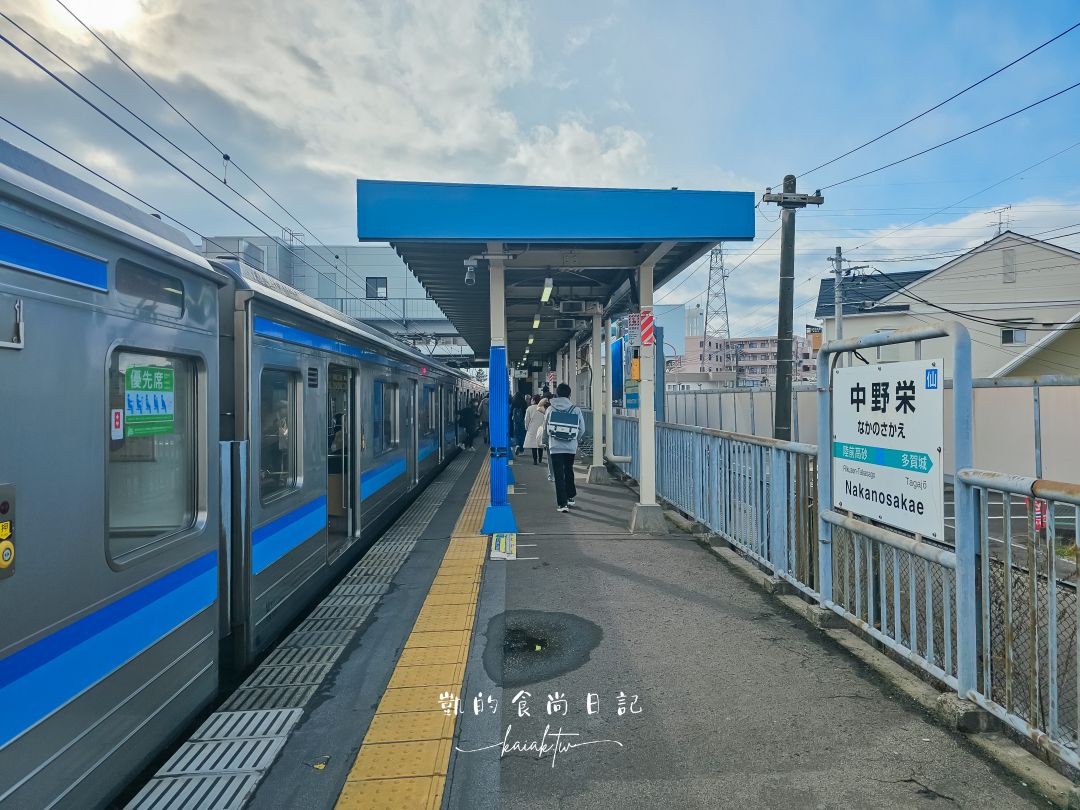 仙台海洋森林水族館｜與企鵝零距離接觸的療癒體驗