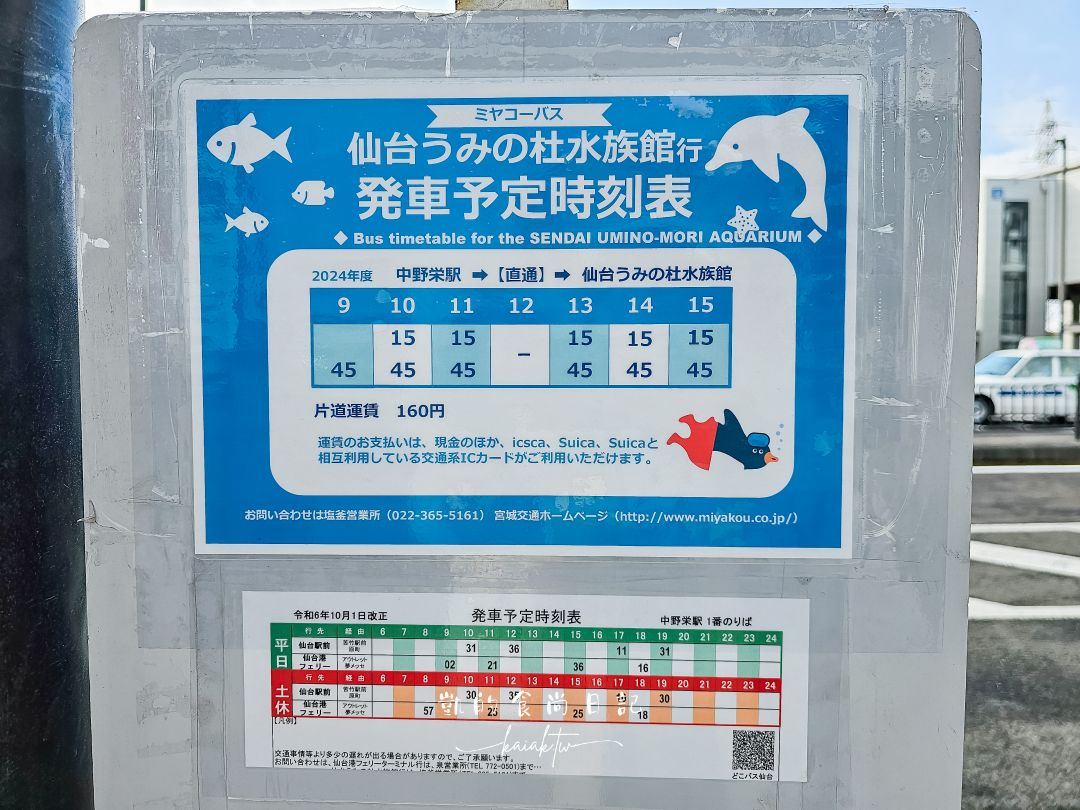 仙台海洋森林水族館｜與企鵝零距離接觸的療癒體驗