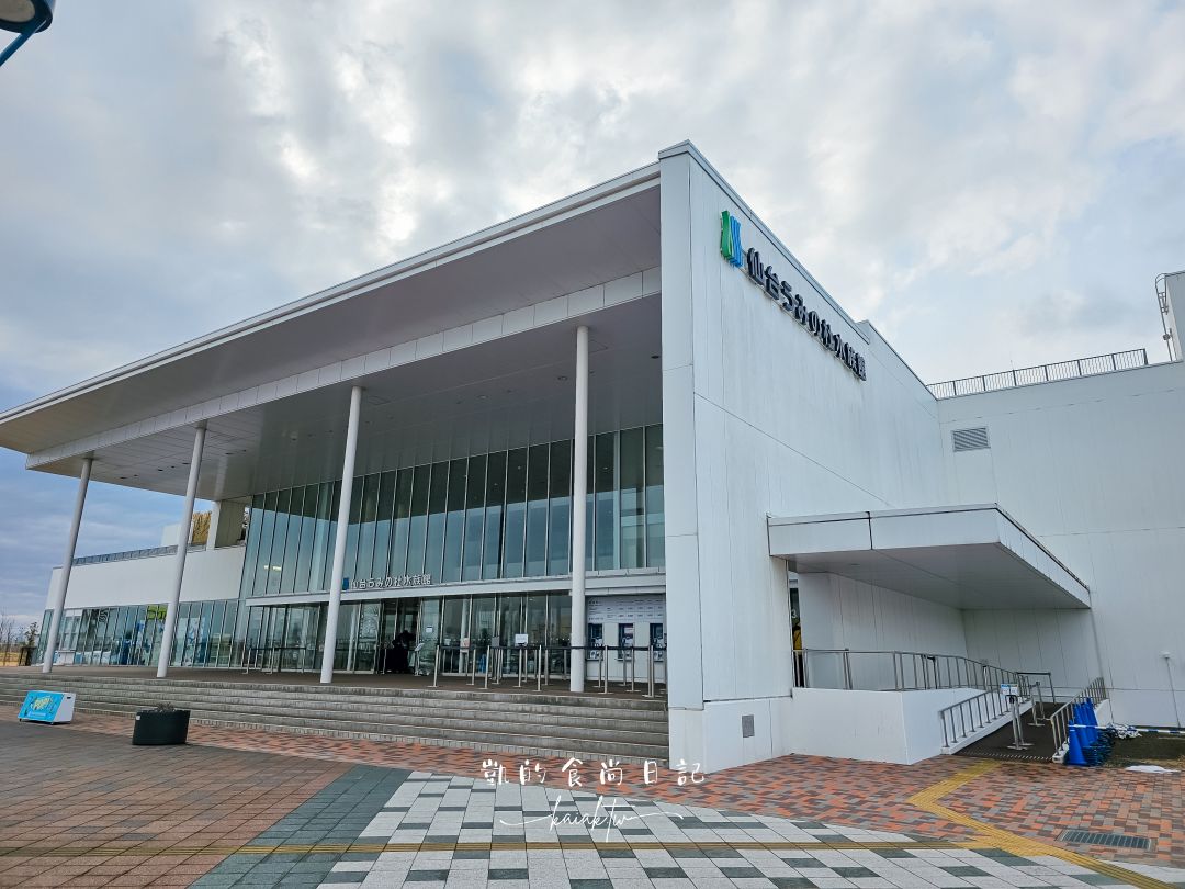 仙台海洋森林水族館｜與企鵝零距離接觸的療癒體驗