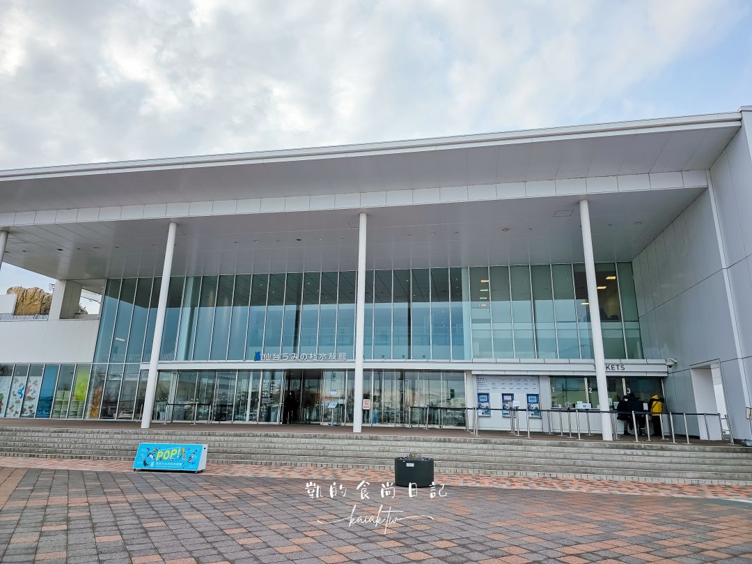 仙台海洋森林水族館｜與企鵝零距離接觸的療癒體驗