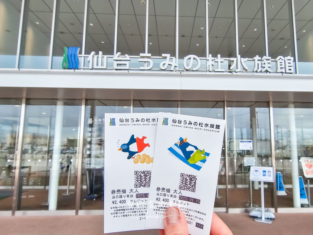 仙台海洋森林水族館｜與企鵝零距離接觸的療癒體驗