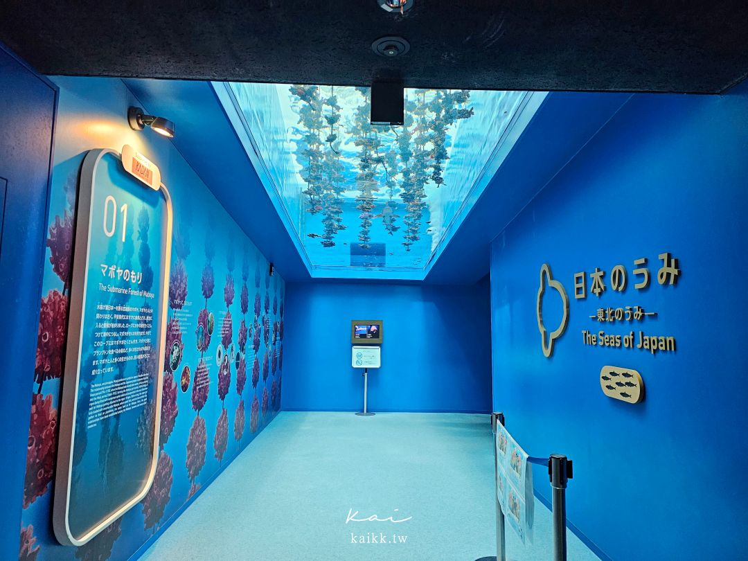 仙台海洋森林水族館｜與企鵝零距離接觸的療癒體驗