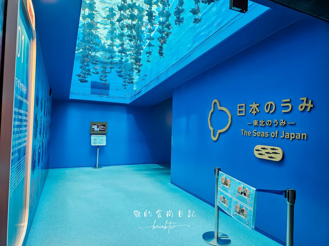 仙台海洋森林水族館｜與企鵝零距離接觸的療癒體驗