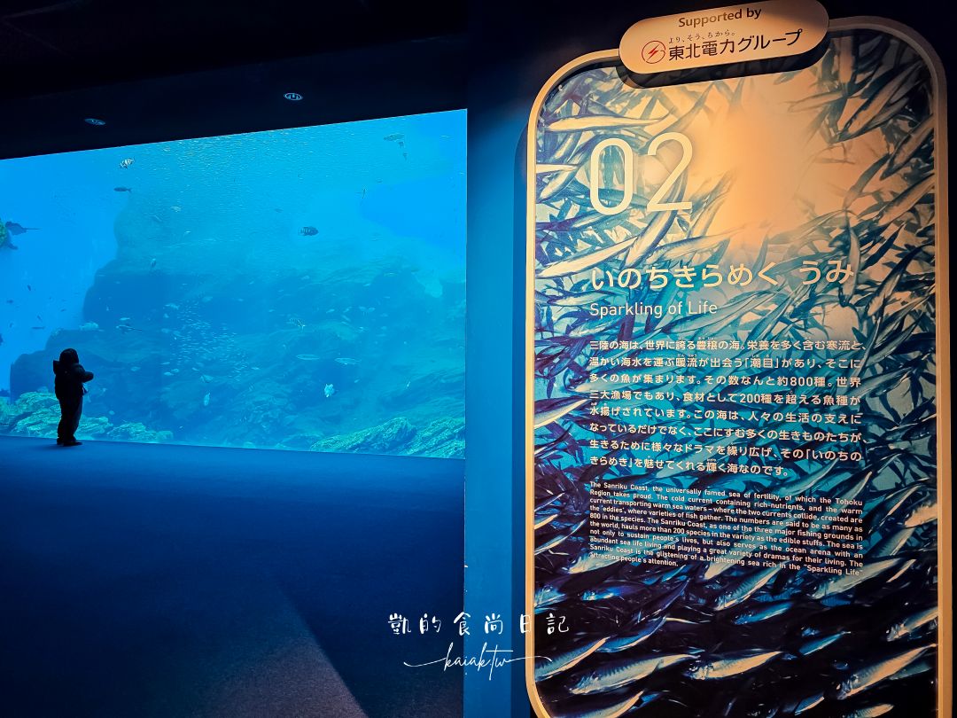仙台海洋森林水族館｜與企鵝零距離接觸的療癒體驗