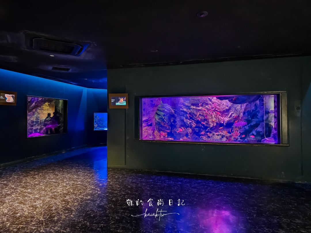 仙台海洋森林水族館｜與企鵝零距離接觸的療癒體驗