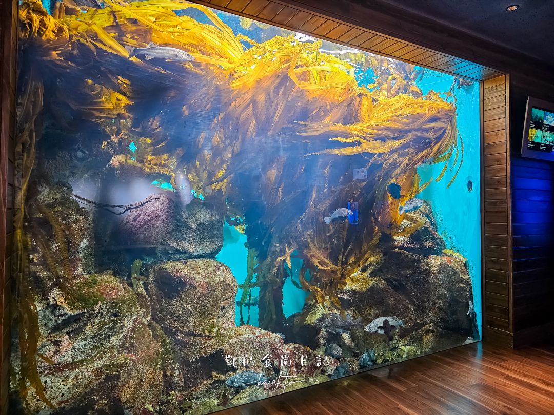 仙台海洋森林水族館｜與企鵝零距離接觸的療癒體驗