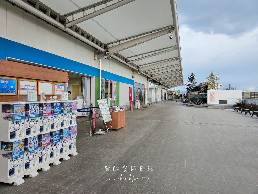 仙台海洋森林水族館｜與企鵝零距離接觸的療癒體驗