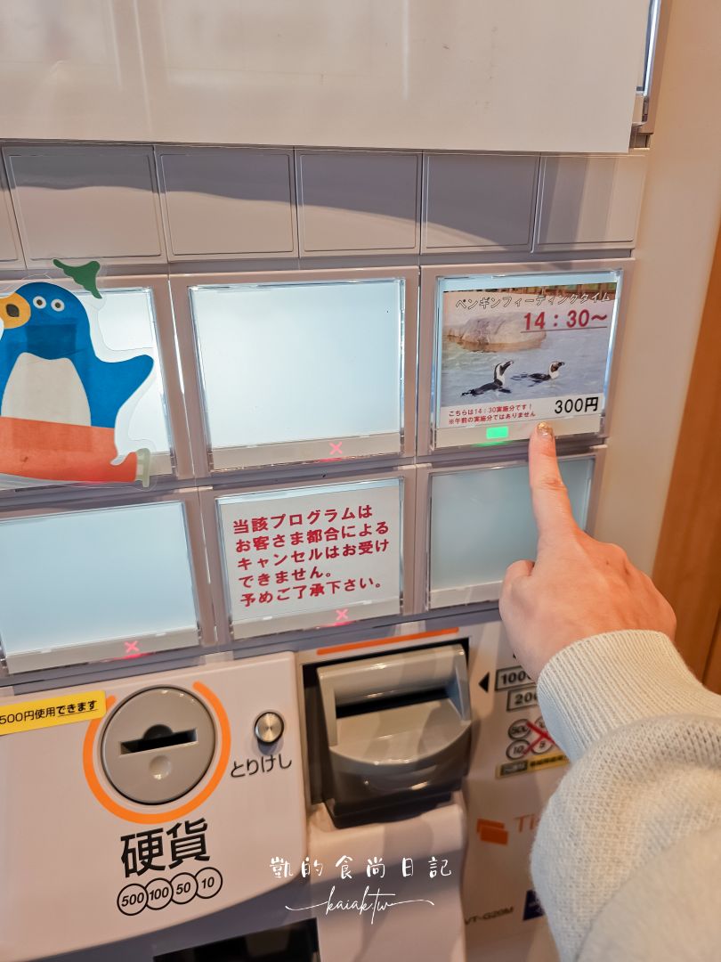 仙台海洋森林水族館｜與企鵝零距離接觸的療癒體驗