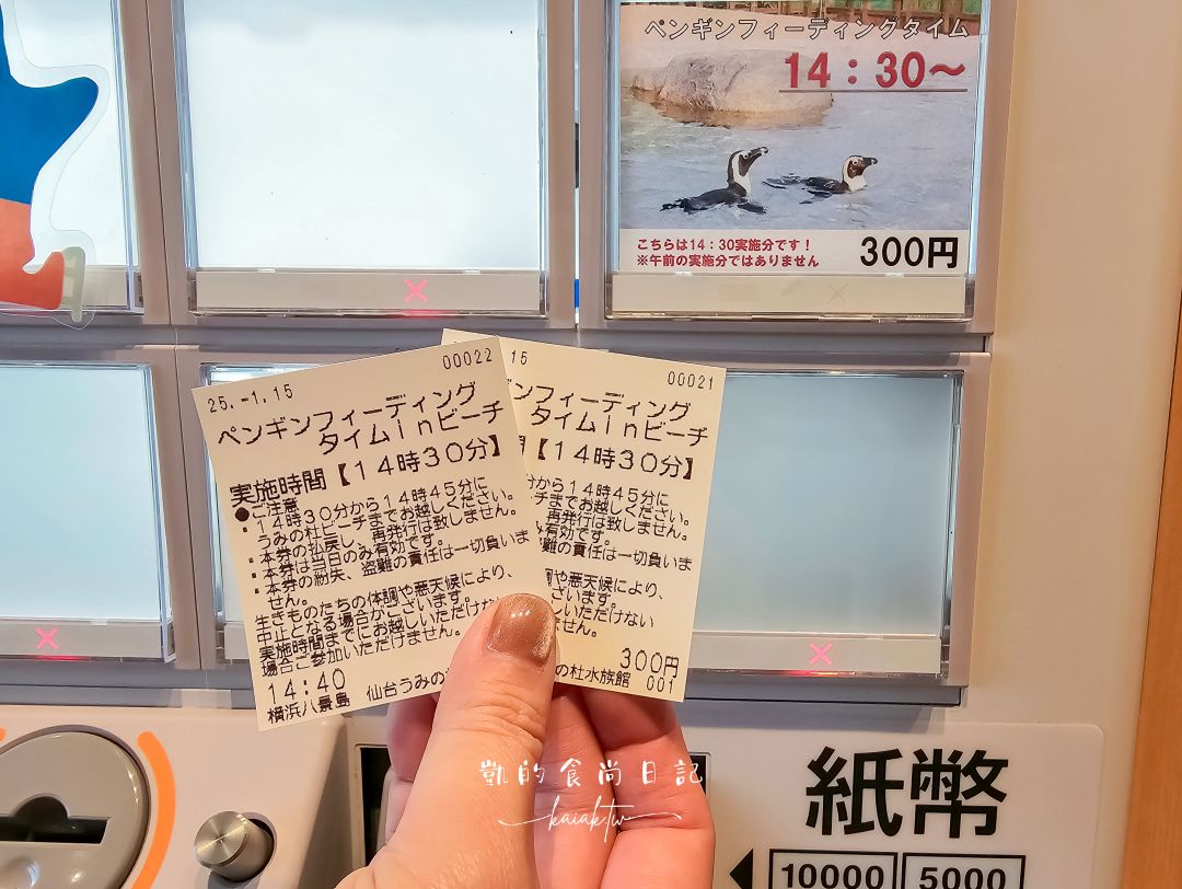 仙台海洋森林水族館｜與企鵝零距離接觸的療癒體驗