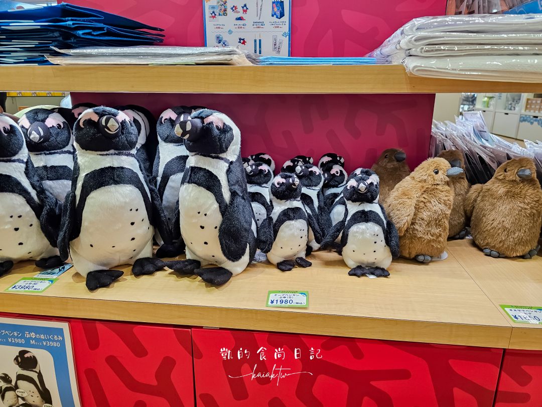仙台海洋森林水族館｜與企鵝零距離接觸的療癒體驗