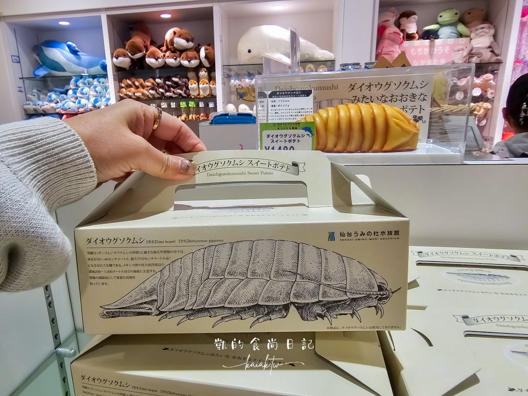 仙台海洋森林水族館｜與企鵝零距離接觸的療癒體驗