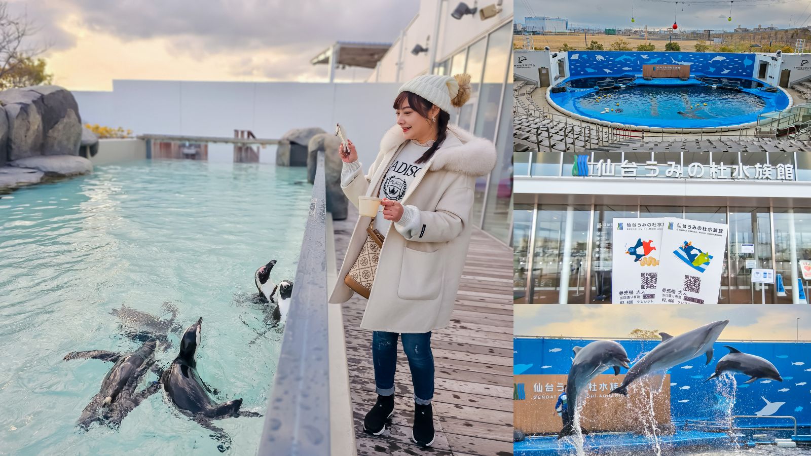 網站近期文章：仙台海洋森林水族館｜與企鵝零距離接觸的療癒體驗