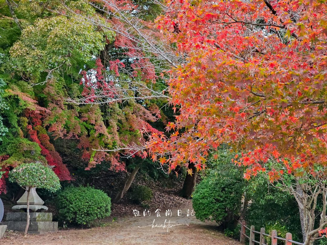 高松必訪景點金刀比羅宮攻略｜表參道足湯、美食必收藏。用琴電一日券交通超划算