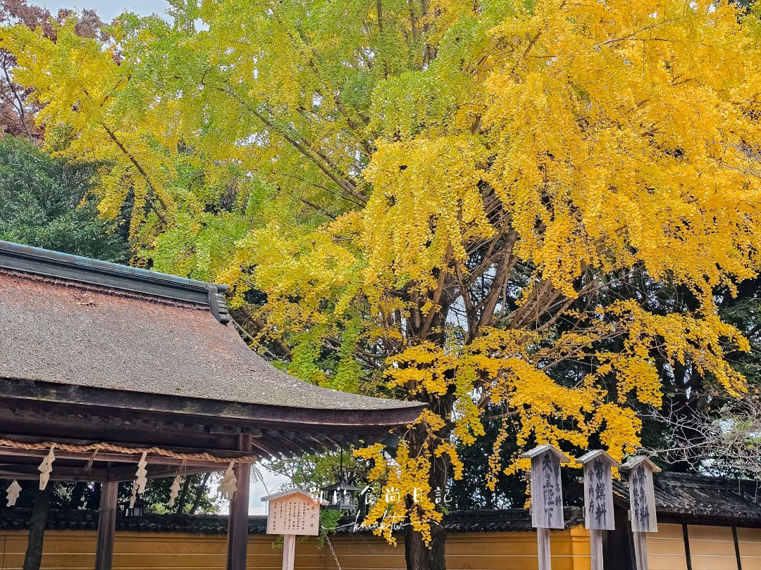 高松必訪景點金刀比羅宮攻略｜表參道足湯、美食必收藏。用琴電一日券交通超划算