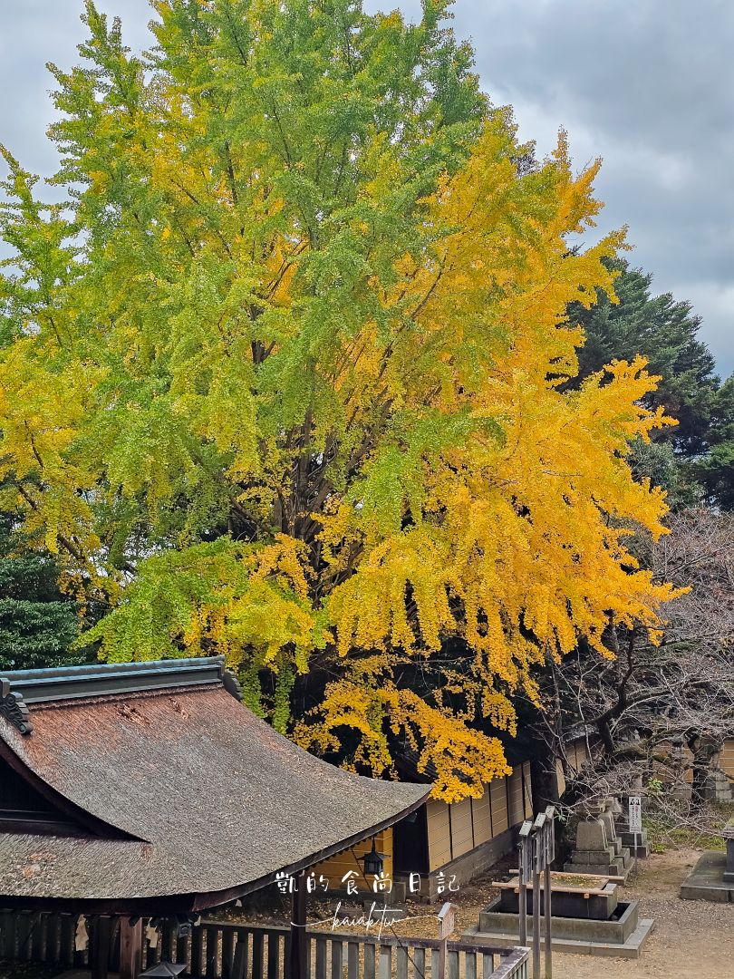 高松必訪景點金刀比羅宮攻略｜表參道足湯、美食必收藏。用琴電一日券交通超划算