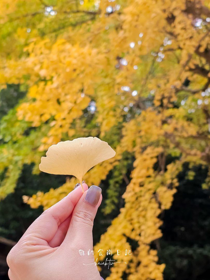 高松必訪景點金刀比羅宮攻略|表參道足湯、美食必收藏。用琴電一日券交通超划算 高松必訪景點金刀比羅宮攻略|表參道足湯、美食必收藏。用琴電一日券交通超划算