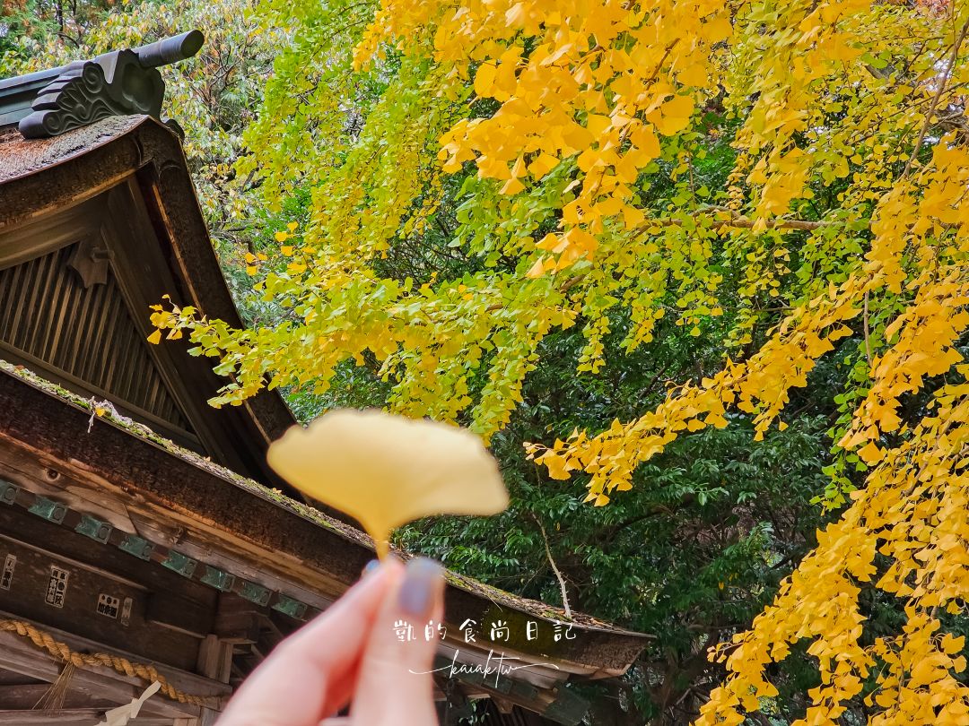 四國高松機場也太好吃太好買！巴士免轉車直達JR高松站交通攻略