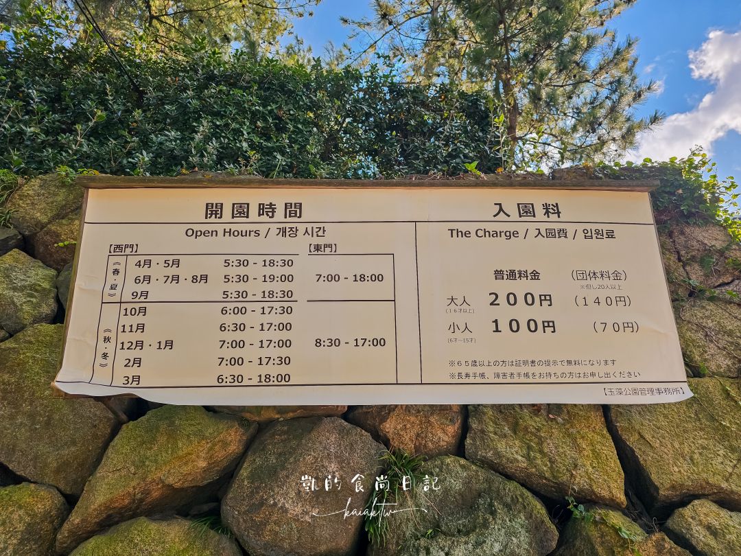 高松4天3夜不自駕賞楓自由行！用爆琴電一日券玩遍知名景點攻略。星宇直飛高松機場超方便