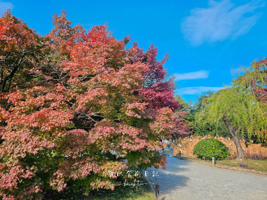 高松4天3夜不自駕賞楓自由行！用爆琴電一日券玩遍知名景點攻略。星宇直飛高松機場超方便