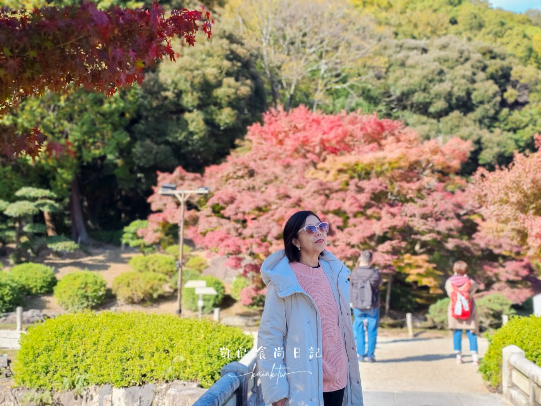 高松4天3夜不自駕賞楓自由行！用爆琴電一日券玩遍知名景點攻略。星宇直飛高松機場超方便