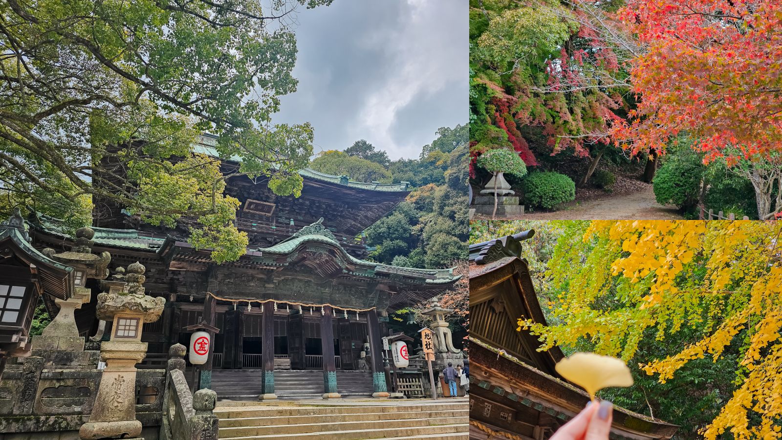 網站近期文章：高松必訪景點金刀比羅宮攻略｜表參道足湯、美食必收藏。用琴電一日券交通超划算