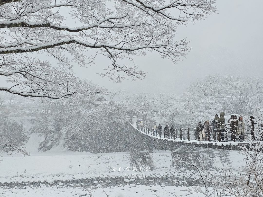 夢幻的白川鄉合掌村！展望台攻略、三小屋拍攝點、合掌村美食推薦