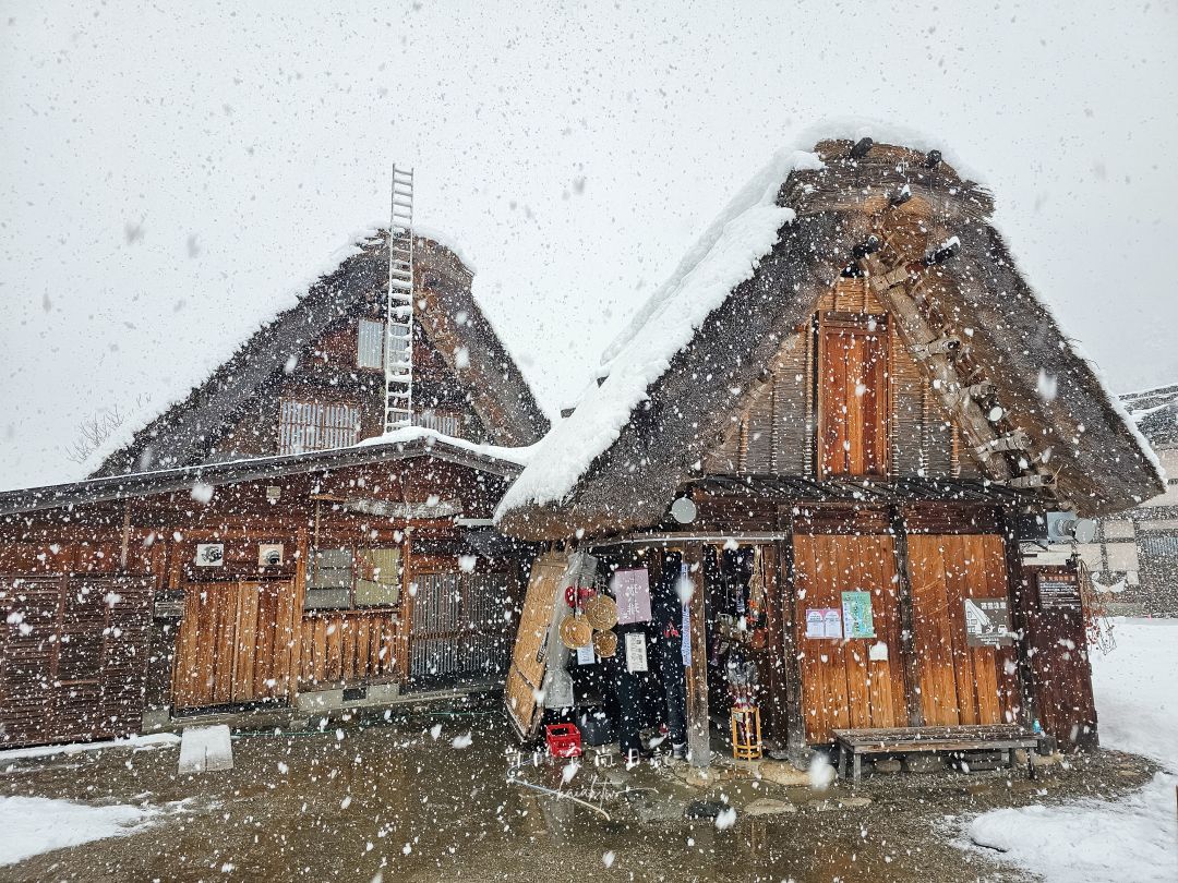 夢幻的白川鄉合掌村!展望台攻略、三小屋拍攝點、合掌村美食推薦 夢幻的白川鄉合掌村!展望台攻略、三小屋拍攝點、合掌村美食推薦