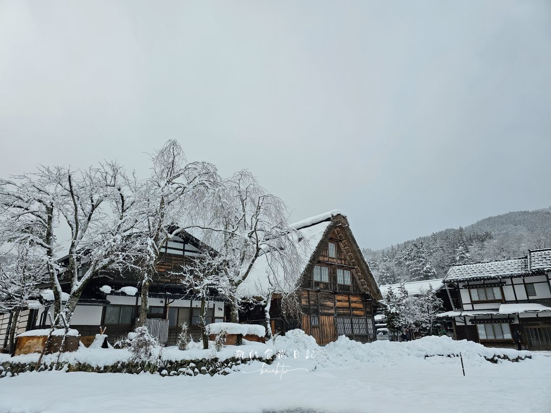 夢幻的白川鄉合掌村！展望台攻略、三小屋拍攝點、合掌村美食推薦