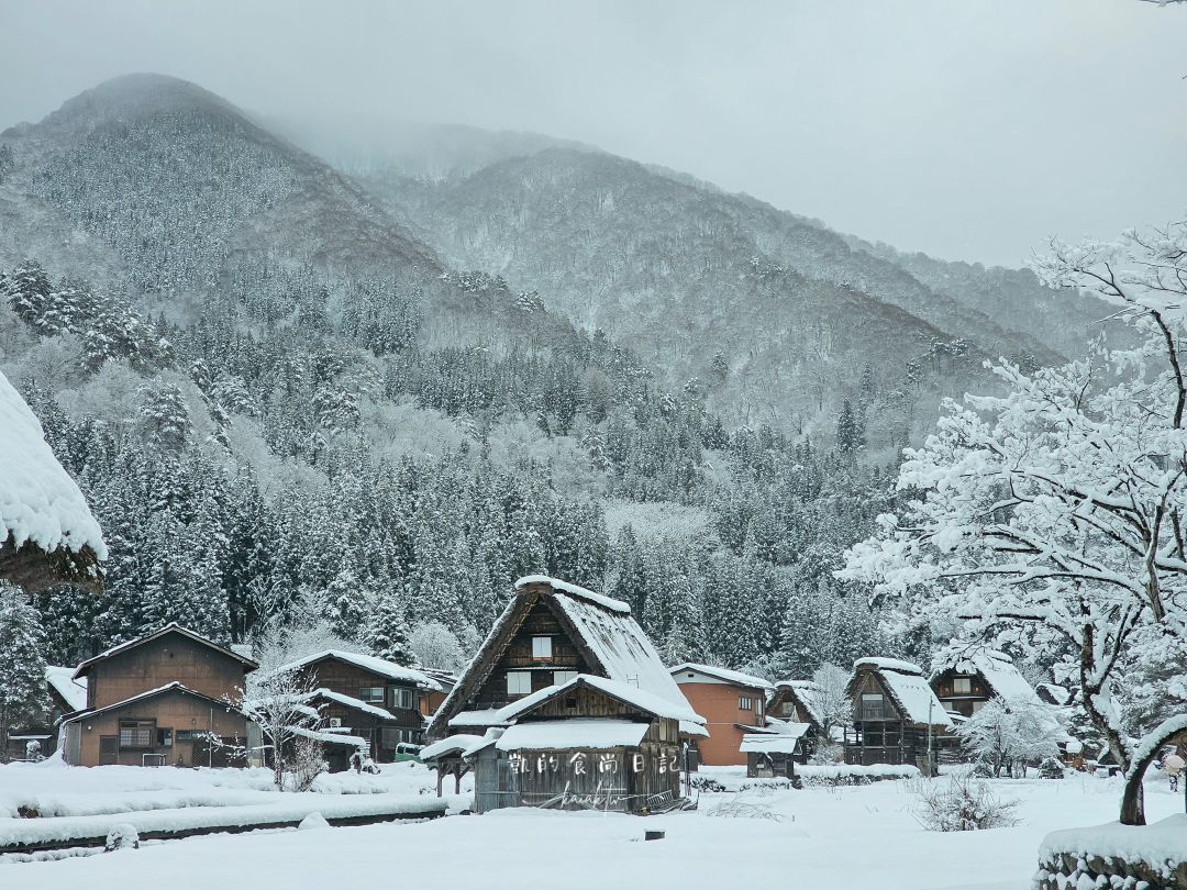 夢幻的白川鄉合掌村！展望台攻略、三小屋拍攝點、合掌村美食推薦