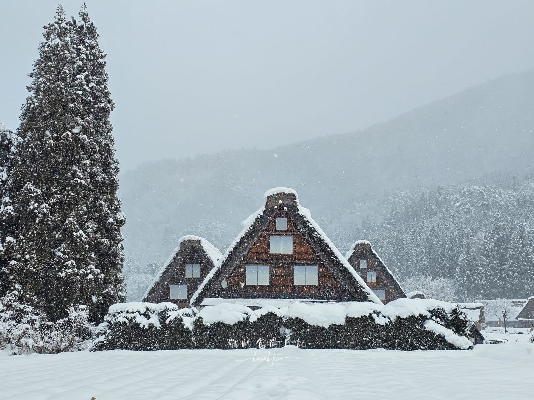 夢幻的白川鄉合掌村!展望台攻略、三小屋拍攝點、合掌村美食推薦 夢幻的白川鄉合掌村!展望台攻略、三小屋拍攝點、合掌村美食推薦