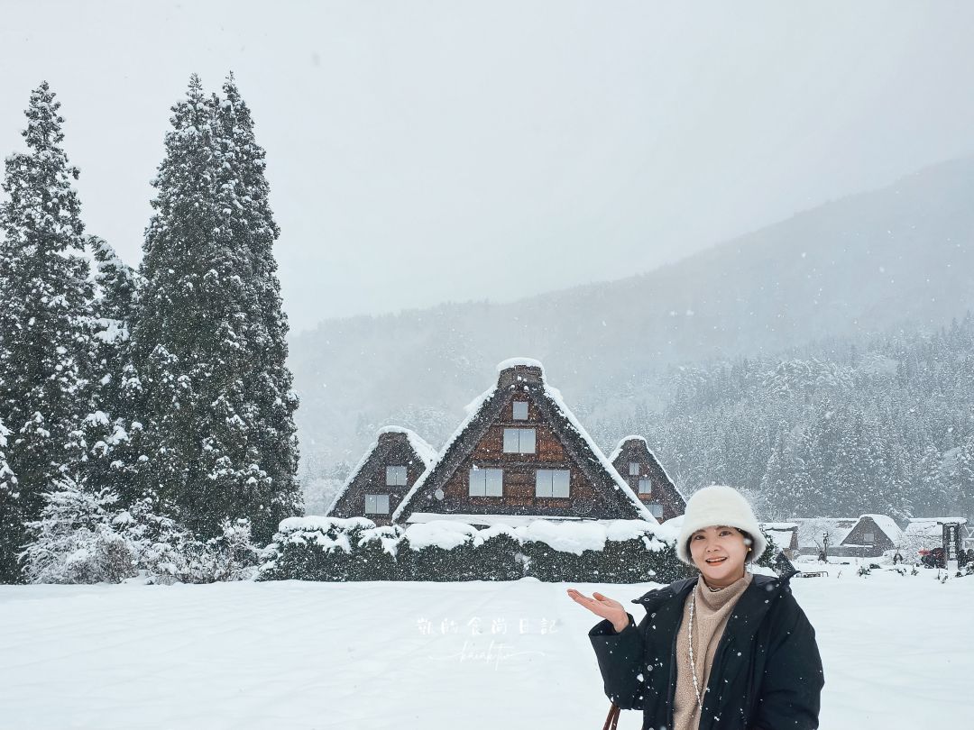 網站近期文章：夢幻的白川鄉合掌村！展望台攻略、三小屋拍攝點、合掌村美食推薦