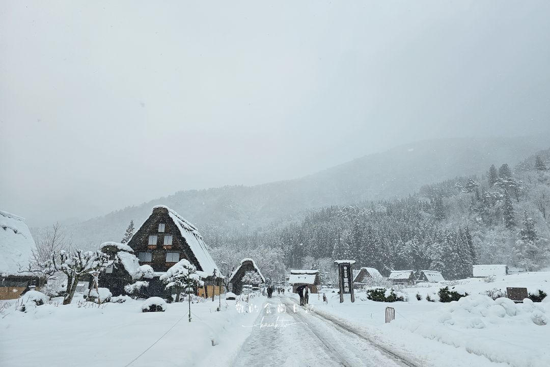 夢幻的白川鄉合掌村！展望台攻略、三小屋拍攝點、合掌村美食推薦