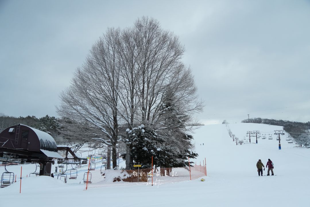 萬楓酒店Fairfield by Marriott 岐阜高山白川郷。合掌村、飛驒高山、滑雪場三天兩夜超好玩