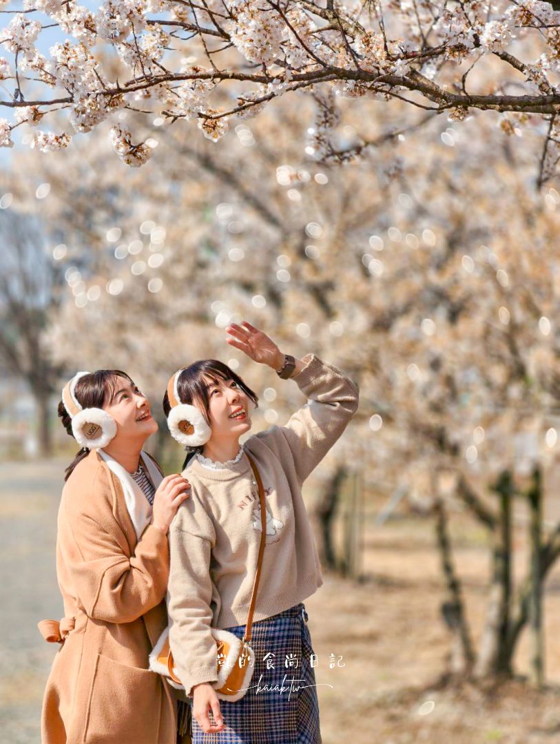 熊本飯店推薦：日式榻榻米房現代「旅籠」。DOMO HOTEL大津 享受黑礦能量大浴場