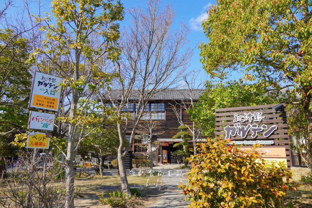 和歌山橘子王國攻略｜3間橘子現採、爆紅水果聖代、DIY鮮榨柑橘汁咖啡廳