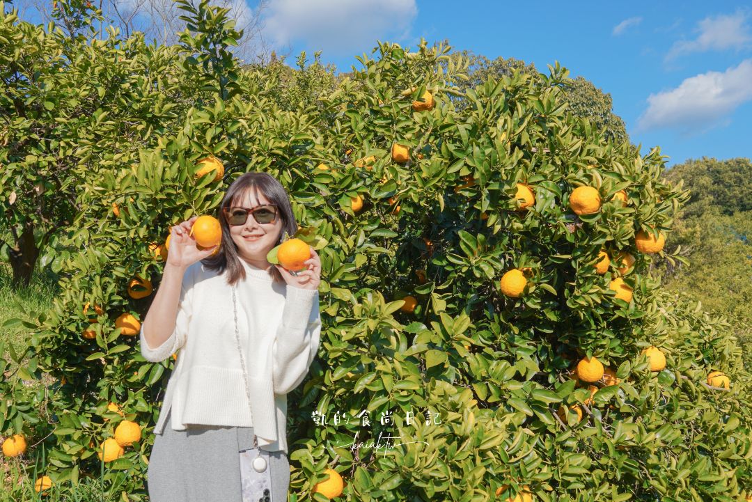 和歌山橘子王國攻略｜3間橘子現採、爆紅水果聖代、DIY鮮榨柑橘汁咖啡廳