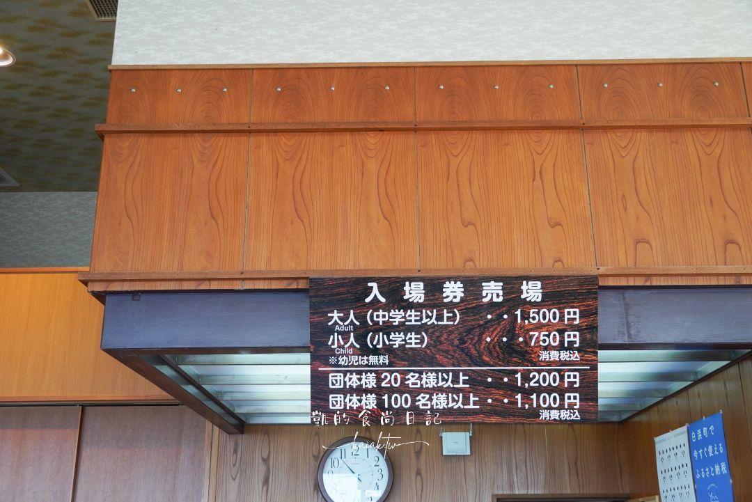 和歌山白濱度假之旅｜海景、溫泉、夕陽一次收齊，關西最療癒系行程