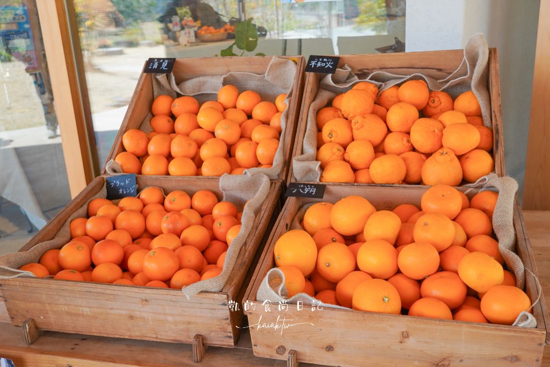 和歌山橘子王國攻略｜3間橘子現採、爆紅水果聖代、DIY鮮榨柑橘汁咖啡廳