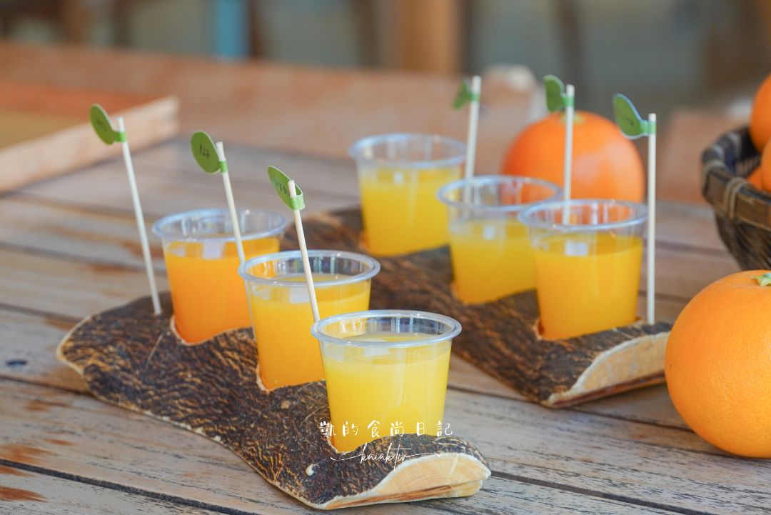 和歌山橘子王國攻略｜3間橘子現採、爆紅水果聖代、DIY鮮榨柑橘汁咖啡廳