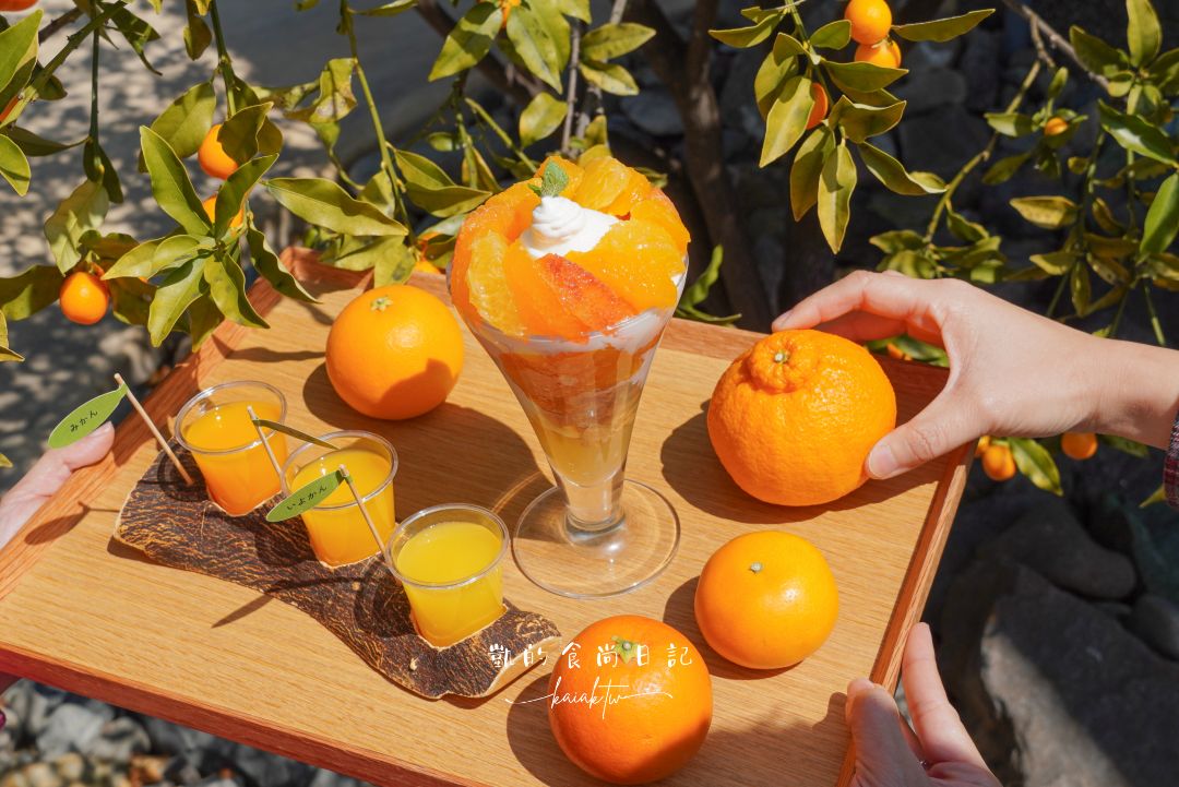 和歌山橘子王國攻略｜3間橘子現採、爆紅水果聖代、DIY鮮榨柑橘汁咖啡廳