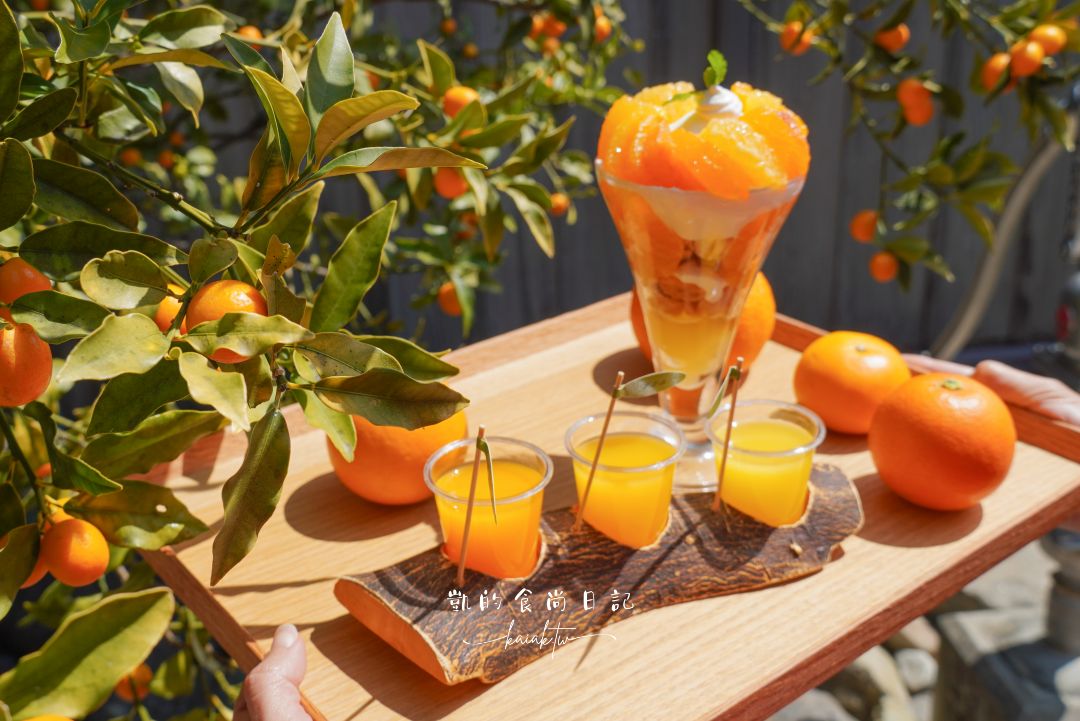 和歌山橘子王國攻略｜3間橘子現採、爆紅水果聖代、DIY鮮榨柑橘汁咖啡廳