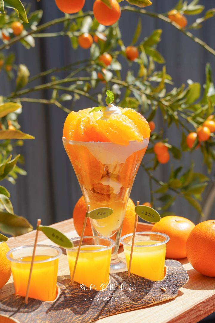 和歌山橘子王國攻略｜3間橘子現採、爆紅水果聖代、DIY鮮榨柑橘汁咖啡廳