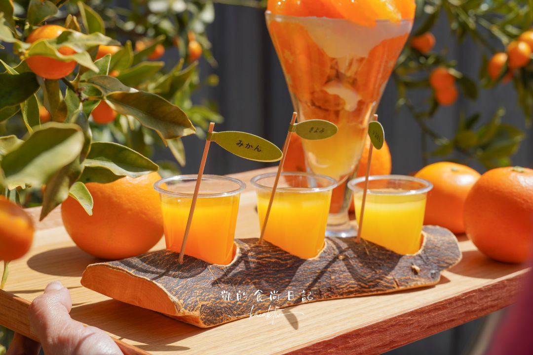 和歌山橘子王國攻略｜3間橘子現採、爆紅水果聖代、DIY鮮榨柑橘汁咖啡廳