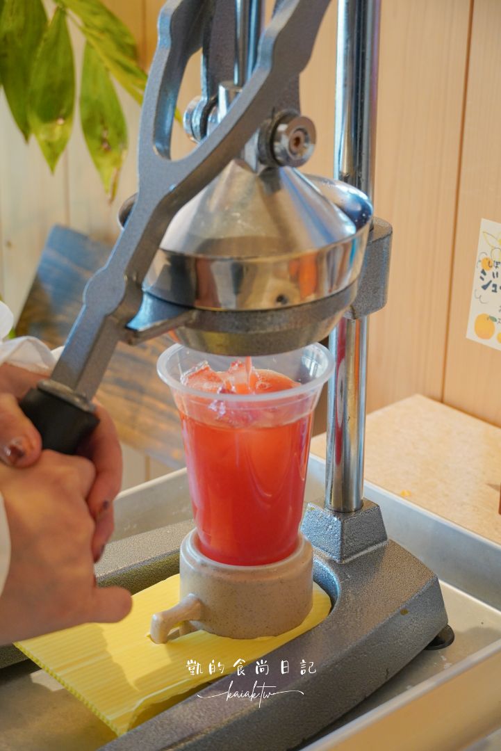 和歌山橘子王國攻略｜3間橘子現採、爆紅水果聖代、DIY鮮榨柑橘汁咖啡廳