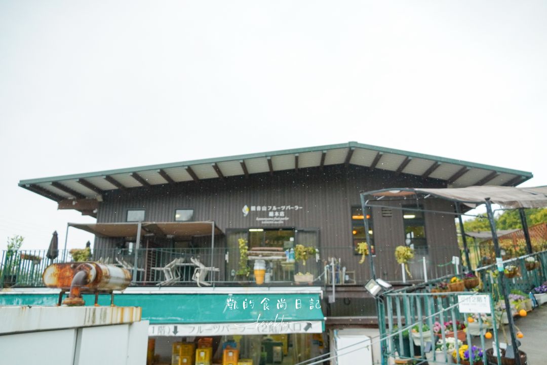 和歌山橘子王國攻略｜3間橘子現採、爆紅水果聖代、DIY鮮榨柑橘汁咖啡廳