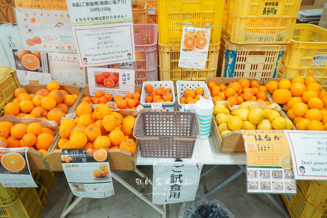 和歌山橘子王國攻略｜3間橘子現採、爆紅水果聖代、DIY鮮榨柑橘汁咖啡廳