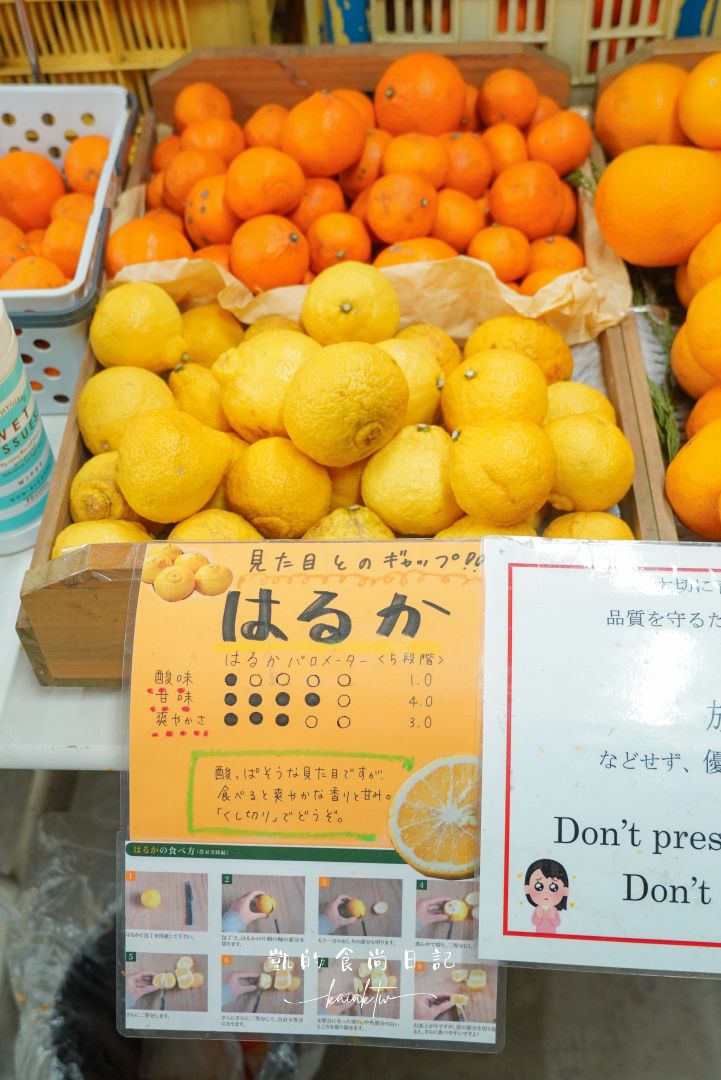 和歌山橘子王國攻略｜3間橘子現採、爆紅水果聖代、DIY鮮榨柑橘汁咖啡廳