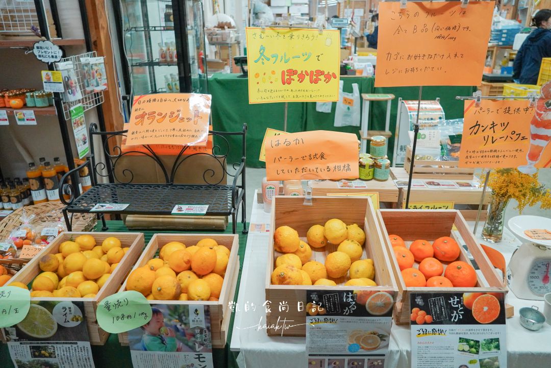 和歌山橘子王國攻略｜3間橘子現採、爆紅水果聖代、DIY鮮榨柑橘汁咖啡廳