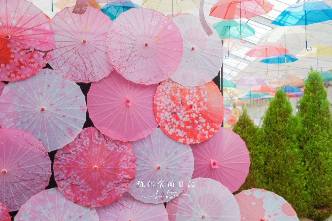 福島豬苗代花草園｜夢幻「Umbrella Sky」與四季花海的打卡聖地