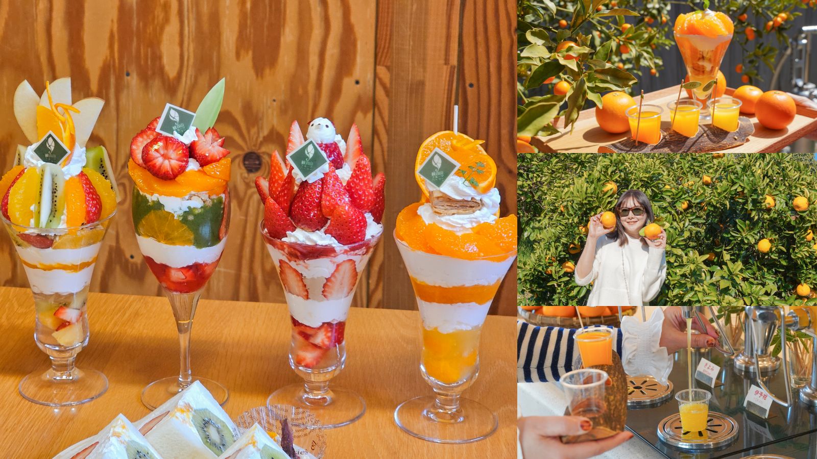 和歌山橘子王國攻略｜3間橘子現採、爆紅水果聖代、DIY鮮榨柑橘汁咖啡廳
